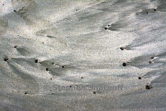 pebbles and sand 3724 1 graphic